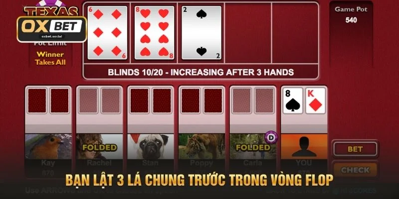 Bạn lật 3 lá chung trước trong vòng Flop