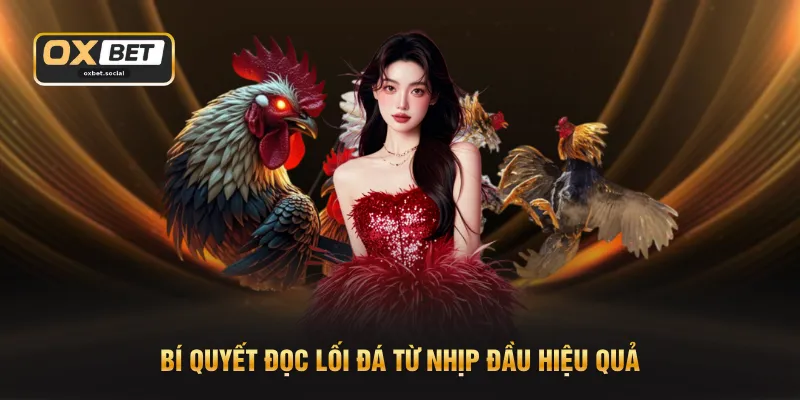 Bí quyết đọc lối đá từ nhịp đầu hiệu quả