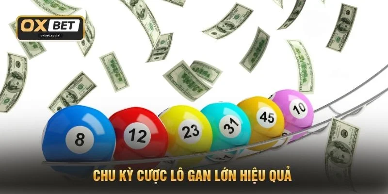 Chu kỳ cược lô gan lớn hiệu quả