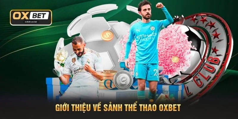 Giới thiệu về sảnh Thể thao OXBET