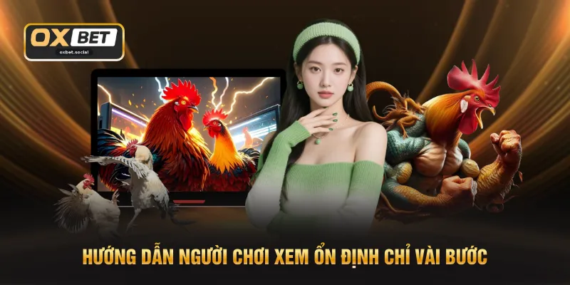 Hướng dẫn người chơi xem ổn định chỉ vài bước
