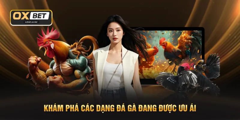 Khám phá các dạng đá gà đang được ưu ái