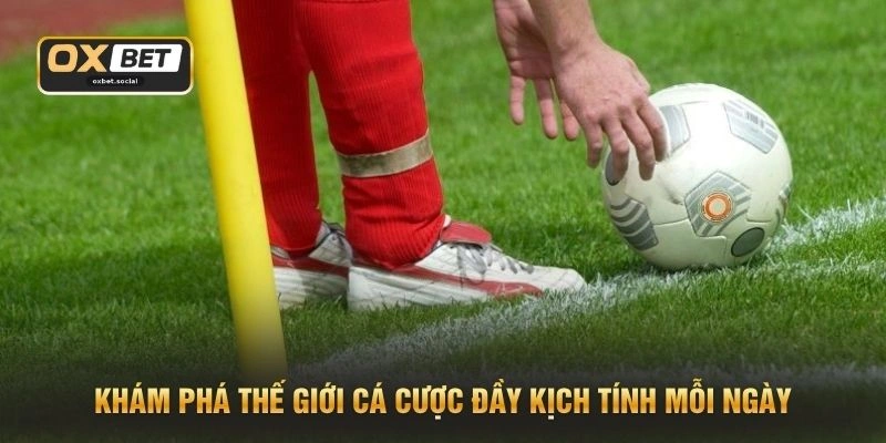 Khám phá thế giới cá cược đầy kịch tính mỗi ngày