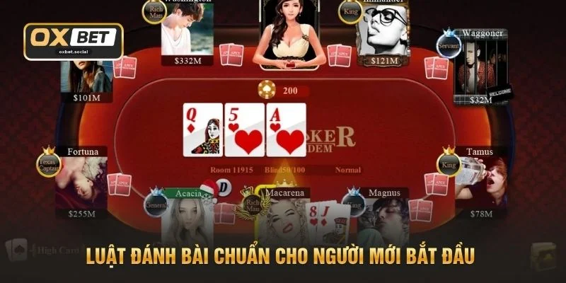 Luật đánh bài chuẩn cho người mới bắt đầu