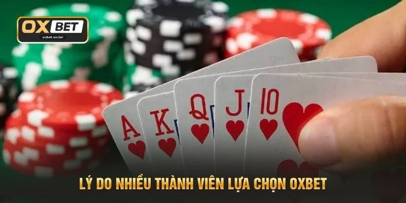 Lý do nhiều thành viên lựa chọn OXBET