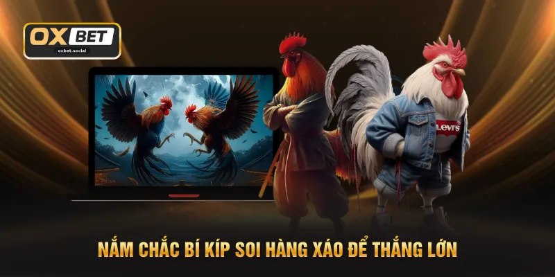 Nắm chắc bí kíp soi hàng xáo để thắng lớn