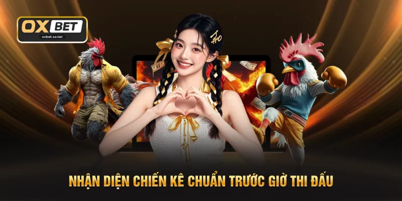 Nhận diện chiến kê chuẩn trước giờ thi đấu