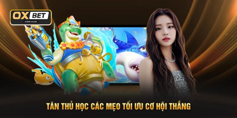 Tân thủ học các mẹo tối ưu cơ hội thắng