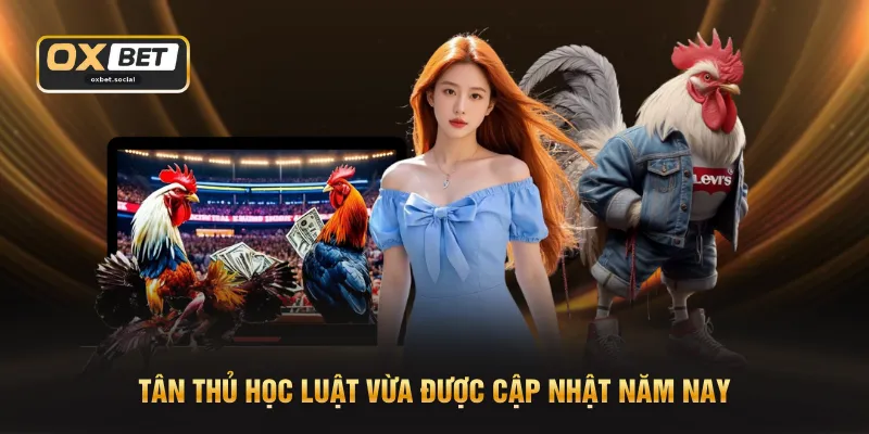 Tân thủ học luật vừa được cập nhật năm nay