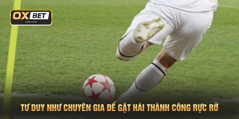 Tư duy như chuyên gia để gặt hái thành công rực rỡ