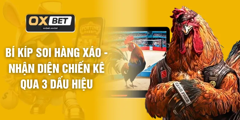 Bí Kíp Soi Hàng Xáo - Nhận Diện Chiến kê Qua 3 Dấu Hiệu