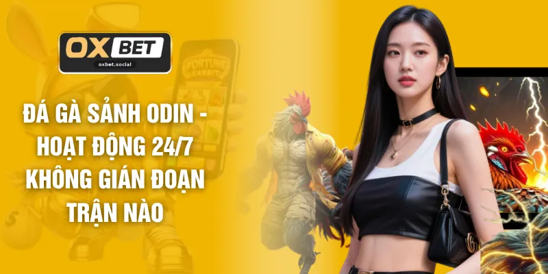 Đá Gà Sảnh ODIN - Hoạt Động 24/7 Không Gián Đoạn Trận Nào