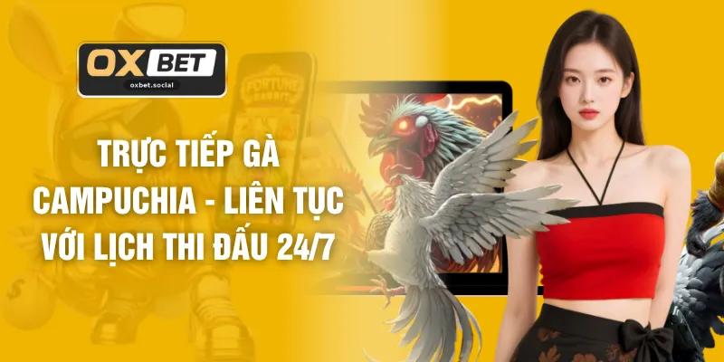 Trực Tiếp Gà Campuchia - Liên Tục Với Lịch Thi Đấu 24/7